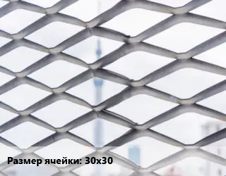 Сетка ЦПВС 30х30